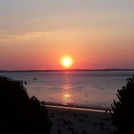 T3 Lumineux 50m Centre Avec Parking Et Wifi - Fr-1-420-60 アパート *