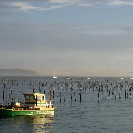 T3 Lumineux 50m Centre Avec Parking Et Wifi - Fr-1-420-60 アパート