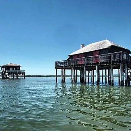 T3 Lumineux 50m Centre Avec Parking Et Wifi - Fr-1-420-60 Appartement