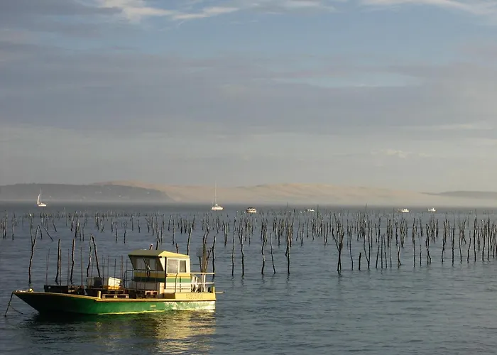 T3 Lumineux 50m Centre Avec Parking Et Wifi - Fr-1-420-60 Apartment