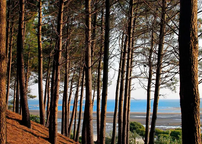 T3 Lumineux 50m Centre Avec Parking Et Wifi - Fr-1-420-60 Apartment Arcachon